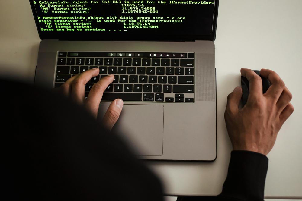 Web development