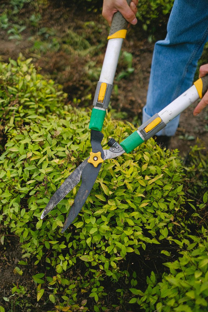 garden maintenance