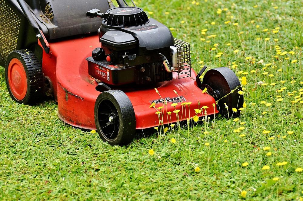 lawn mower oil