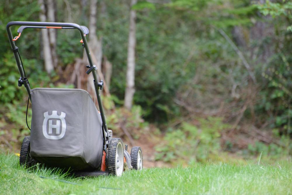 lawn mower oil